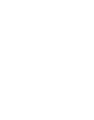 VEF logo